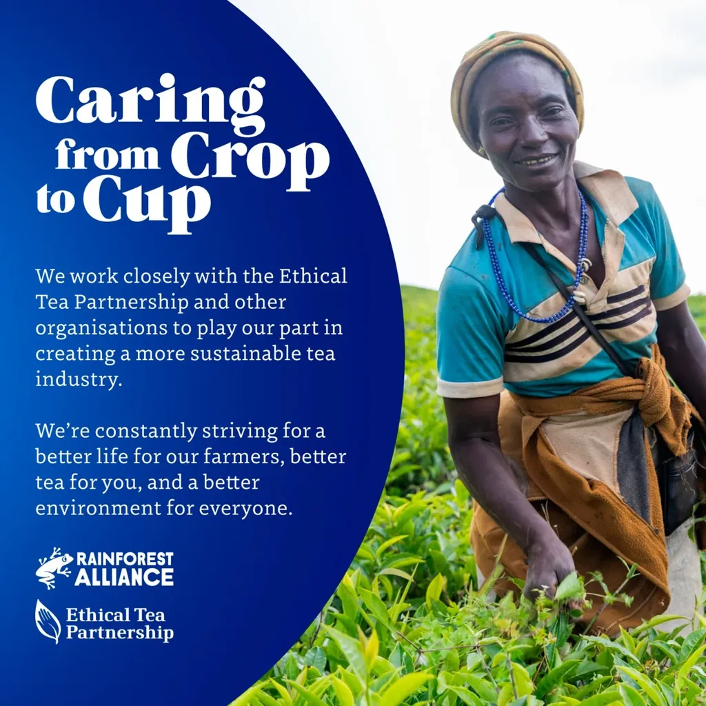 Tetley Original Tea 80 Bags - Image 5